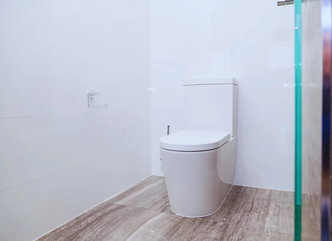 Remplacement de wc Saint-Lubin-des-Joncherets